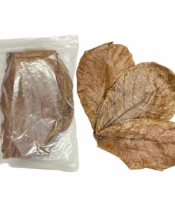 Dried Catappa Leaf Grade B Brown Color