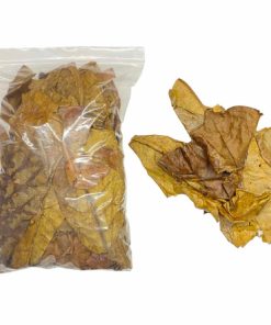 Dried Catappa Leaf Grade C Broken Hole